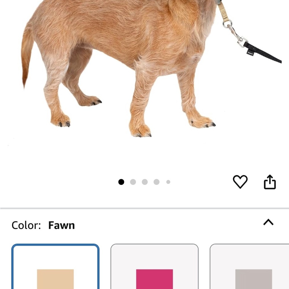 Gentle Leader Dog Leash